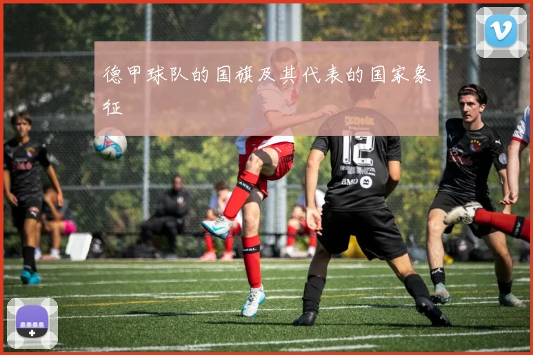 德甲球队的国旗及其代表的国家象征